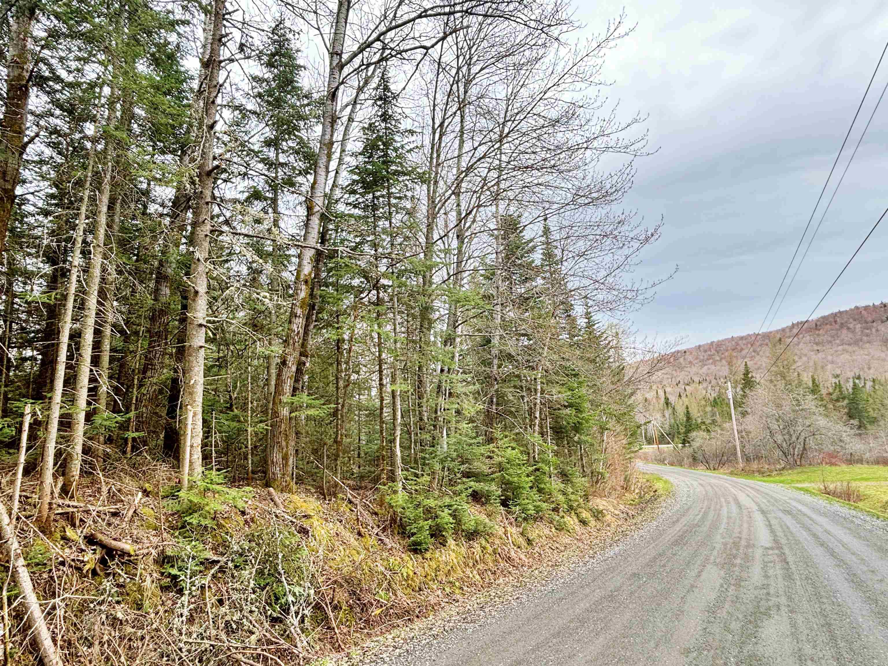 0 Forest Lake Road Canaan, VT 05903 - Photo 6 of 14