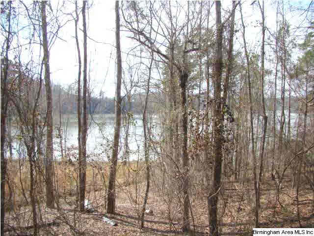 Mohawk Bluff Drive Ohatchee, AL 36271 - Photo 3 of 5