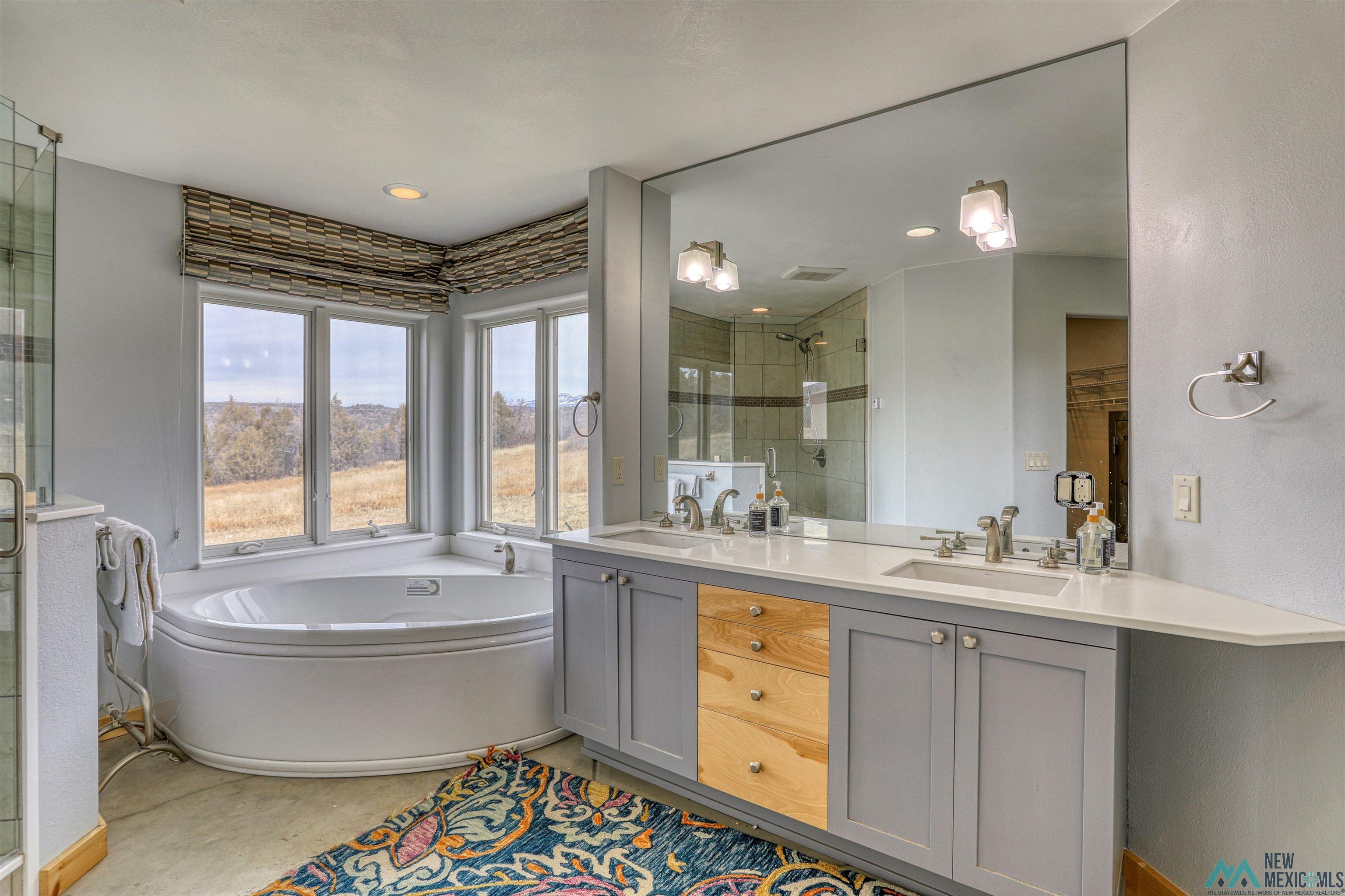12 Horn Toad Road Chama, NM 87520 - Photo 29 of 52 Full bathroom with double vanity, a garden tub, and a shower stall