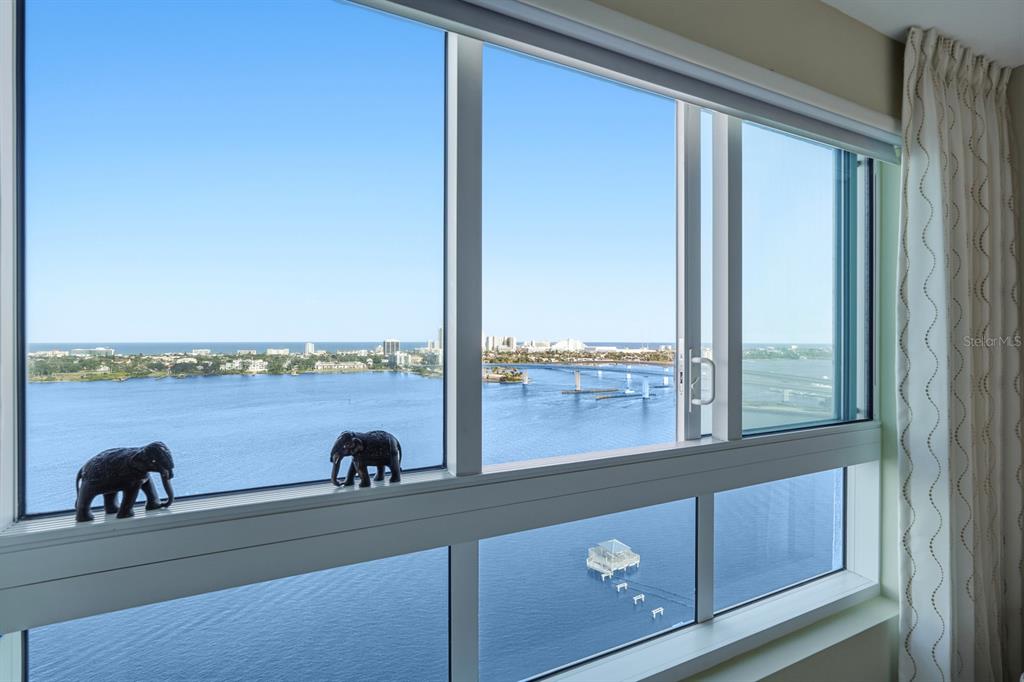 231 Riverside Drive, Unit 1702 Holly Hill, FL 32117 - Photo 45 of 74 a cat sitting on a balcony next to a window