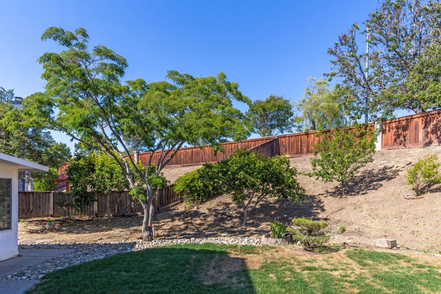 2372 Dubois Street Milpitas, CA 95035 - Photo 23 of 30 a view of a yard with plants and large trees
