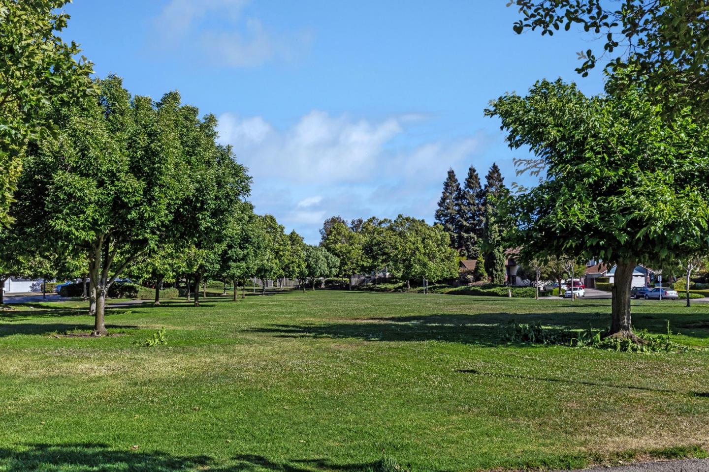 2372 Dubois Street Milpitas, CA 95035 - Photo 26 of 30 a view of a park with trees and a trees