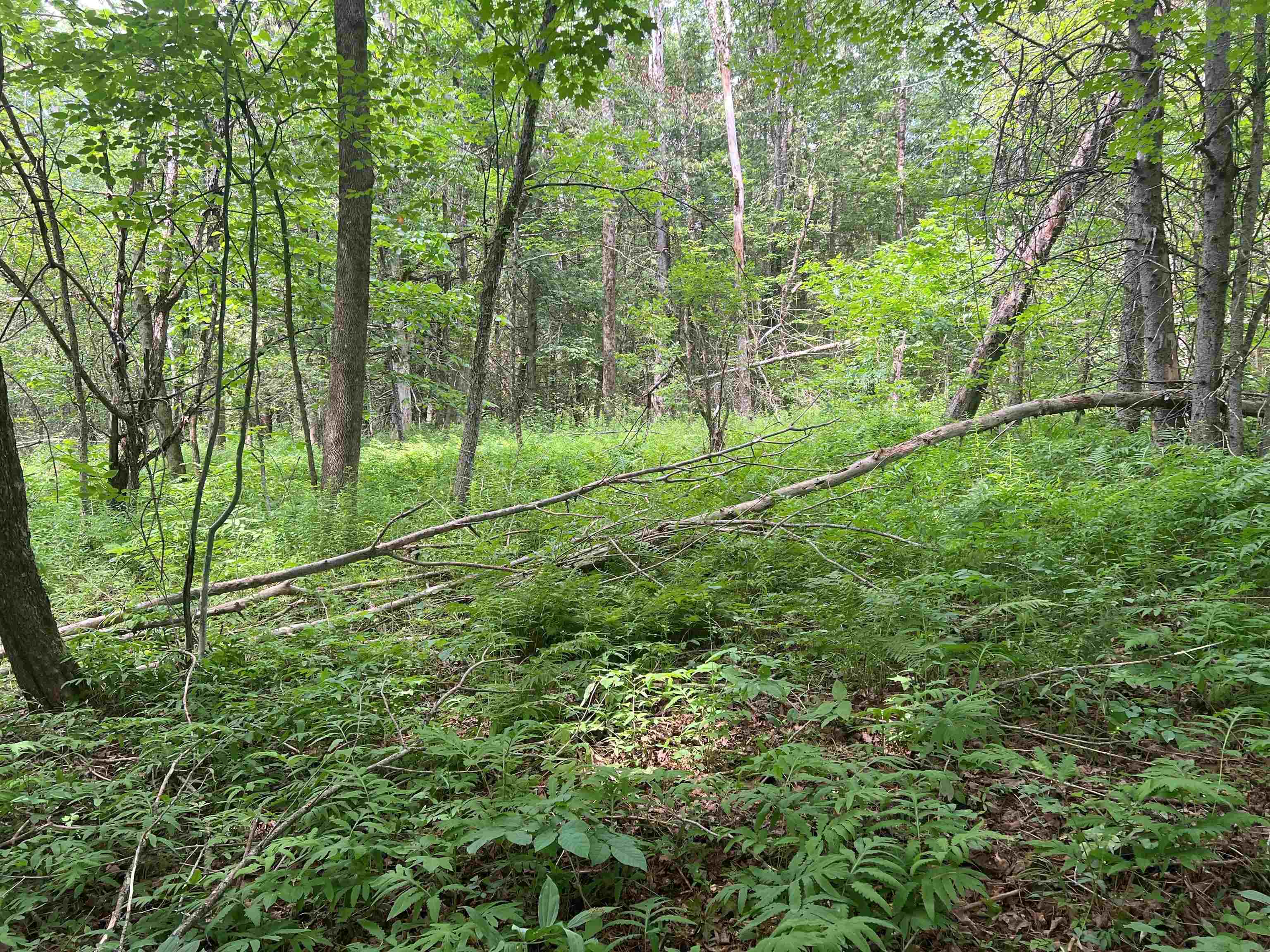 0 Berry Hill Road Sheffield, VT 05866 - Photo 1 of 22 Gallery Image 1