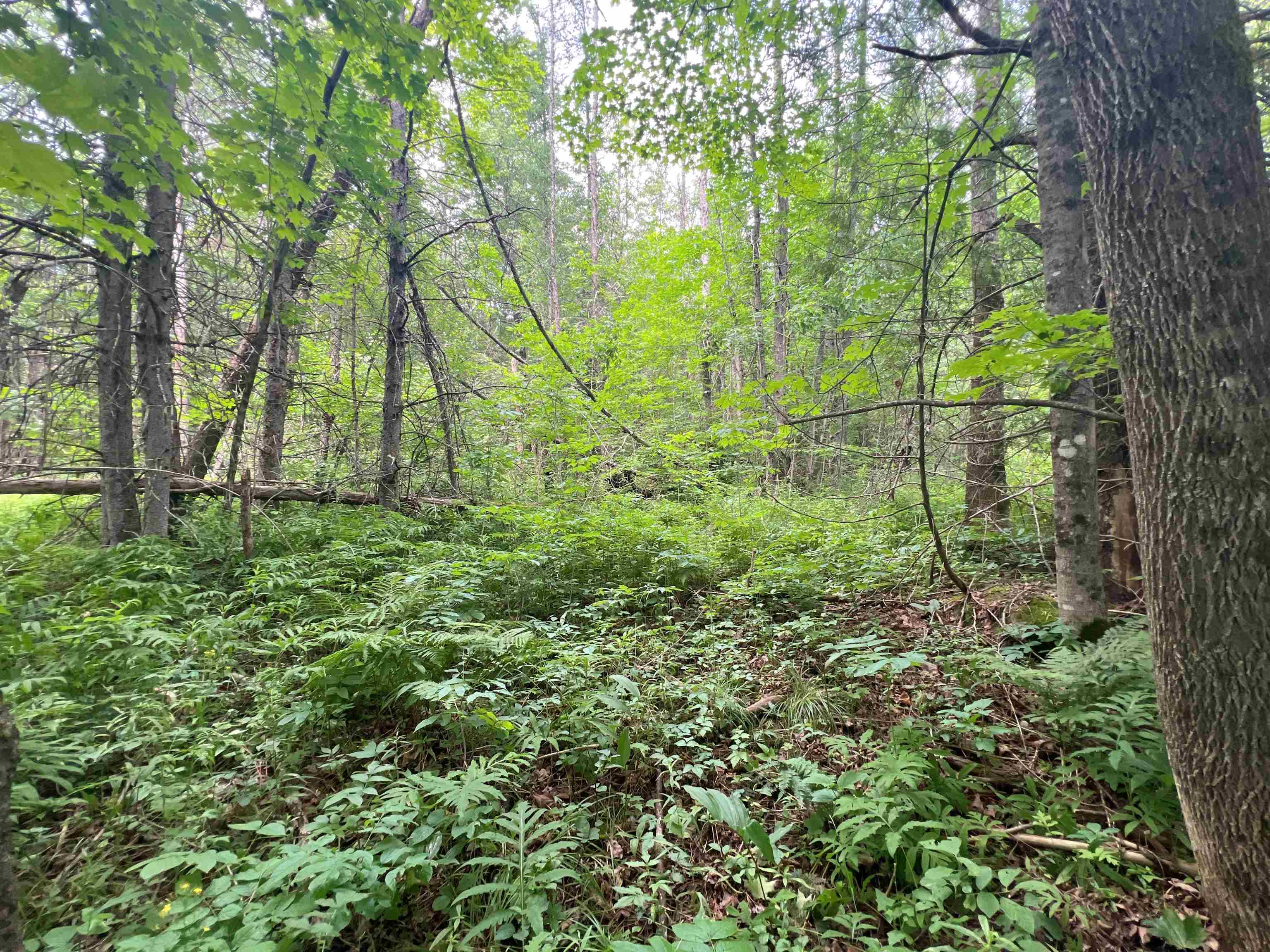 0 Berry Hill Road Sheffield, VT 05866 - Photo 7 of 22 Gallery Image 7