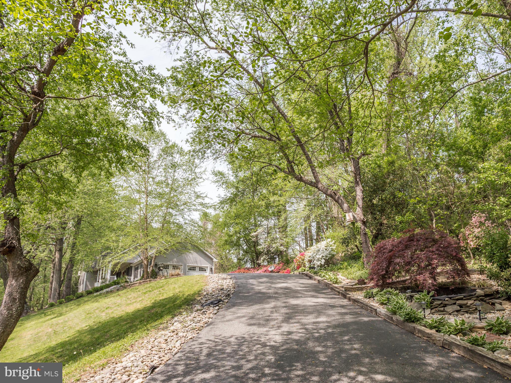 Paved driveway with established landscaping.