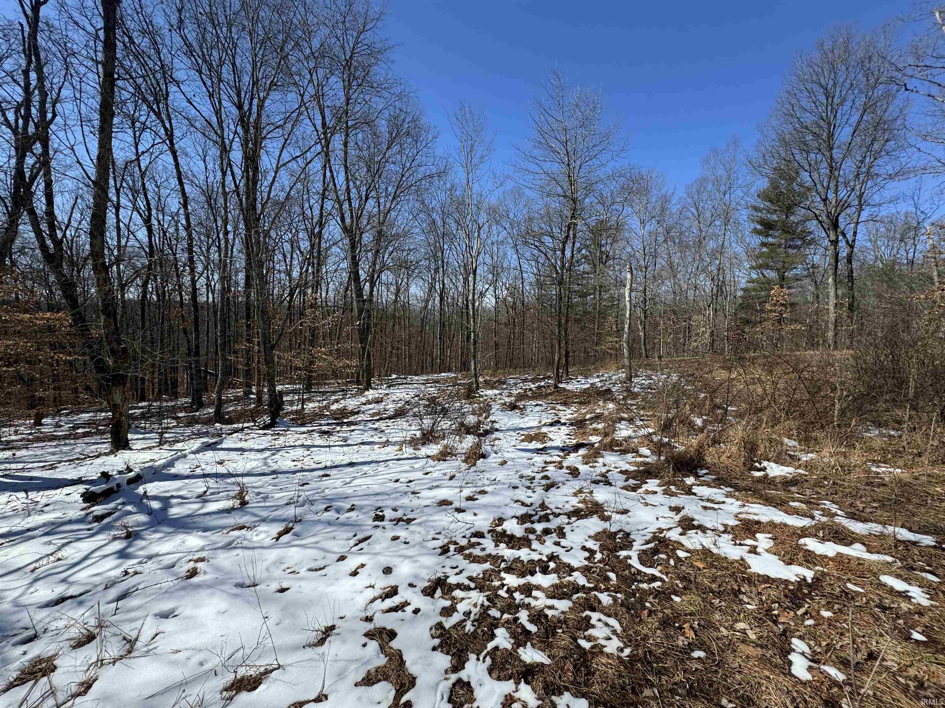 3 State Road 237 English, IN 47118 - Photo 11 of 22