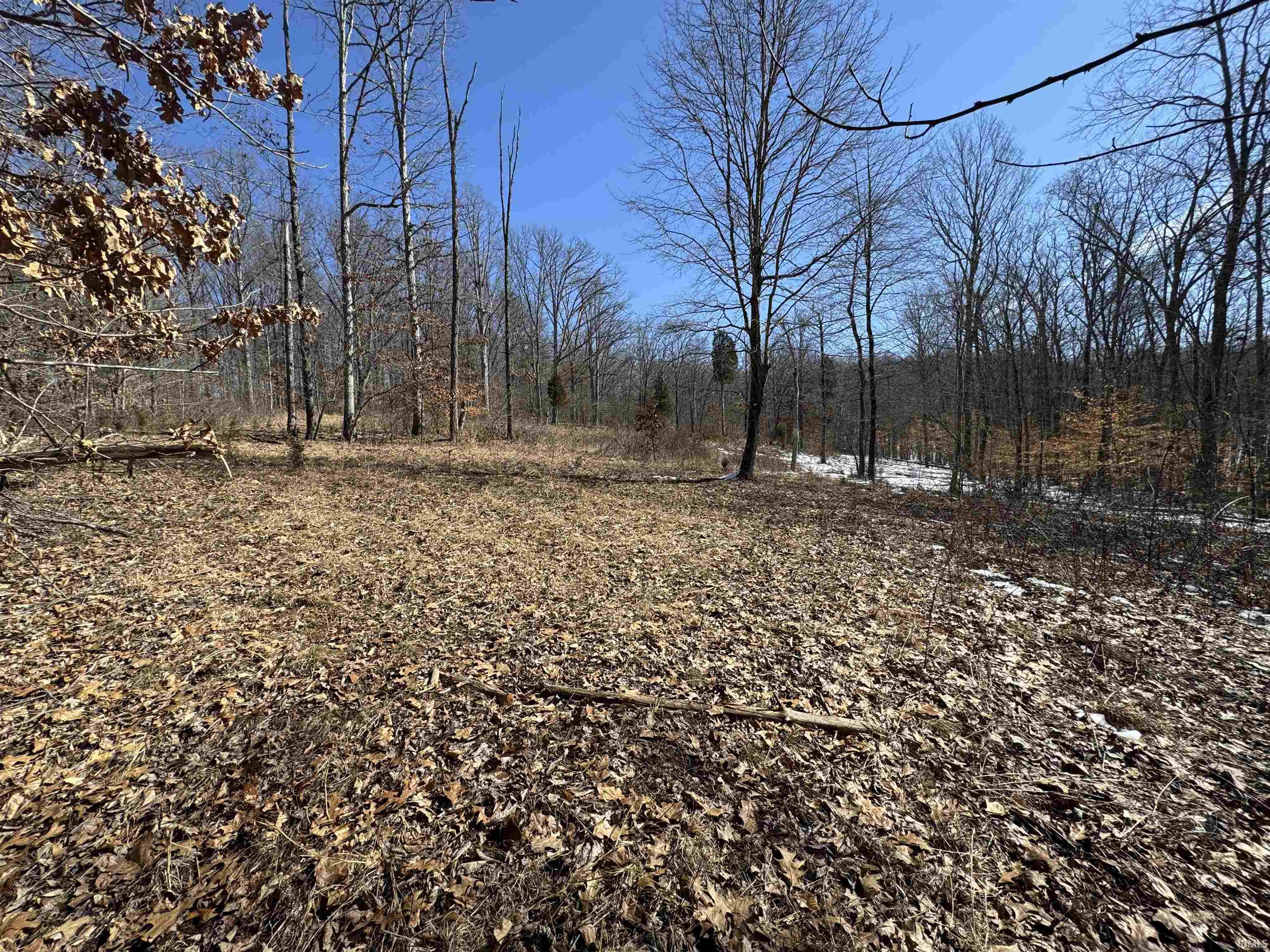 3 State Road 237 English, IN 47118 - Photo 13 of 22