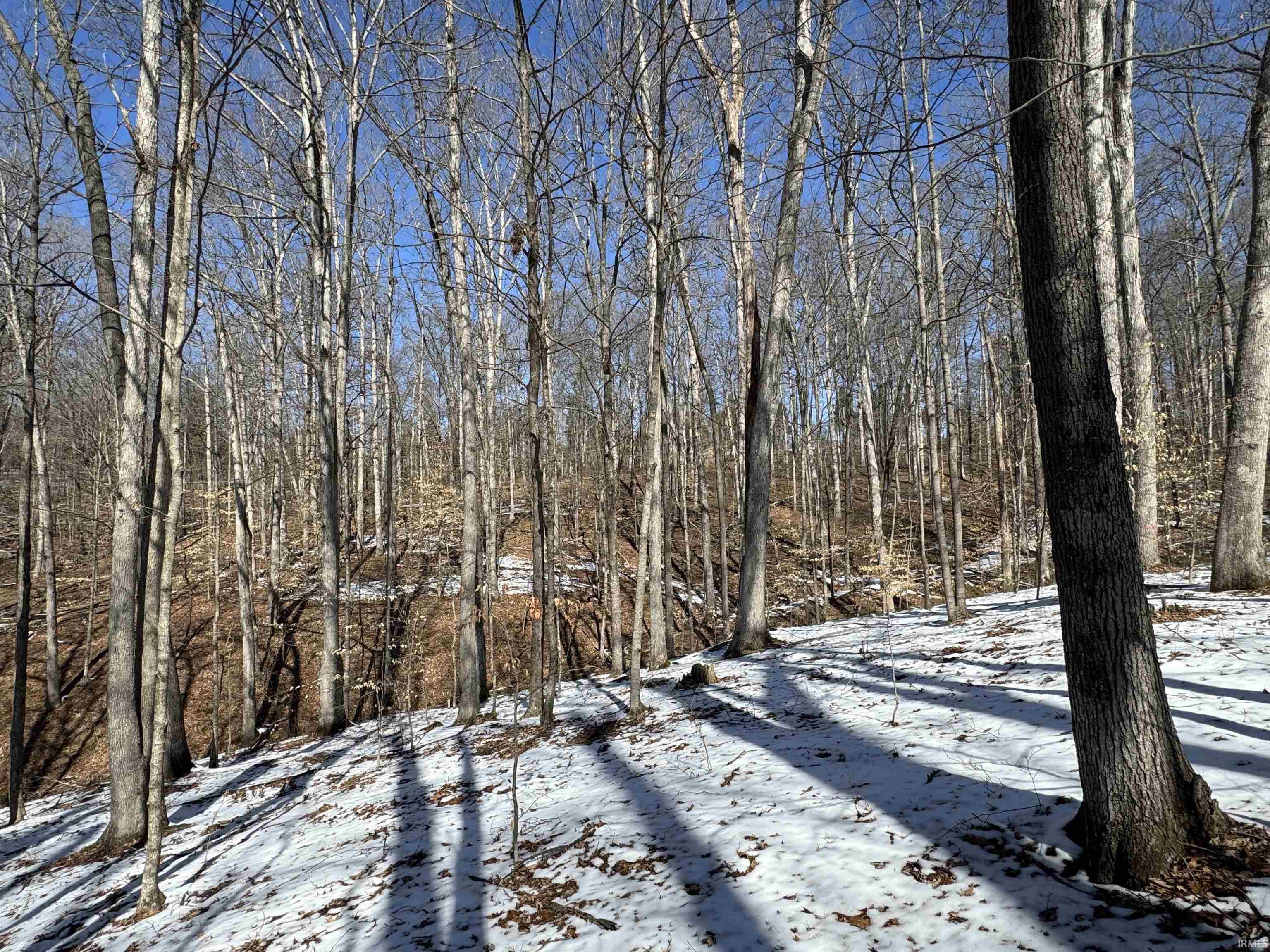 3 State Road 237 English, IN 47118 - Photo 15 of 22