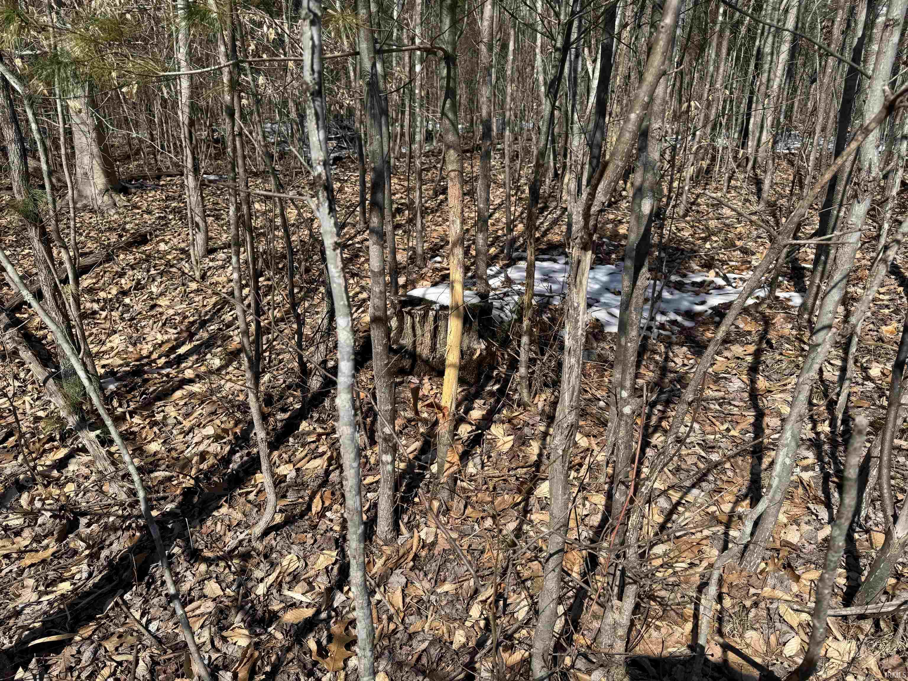 3 State Road 237 English, IN 47118 - Photo 20 of 22