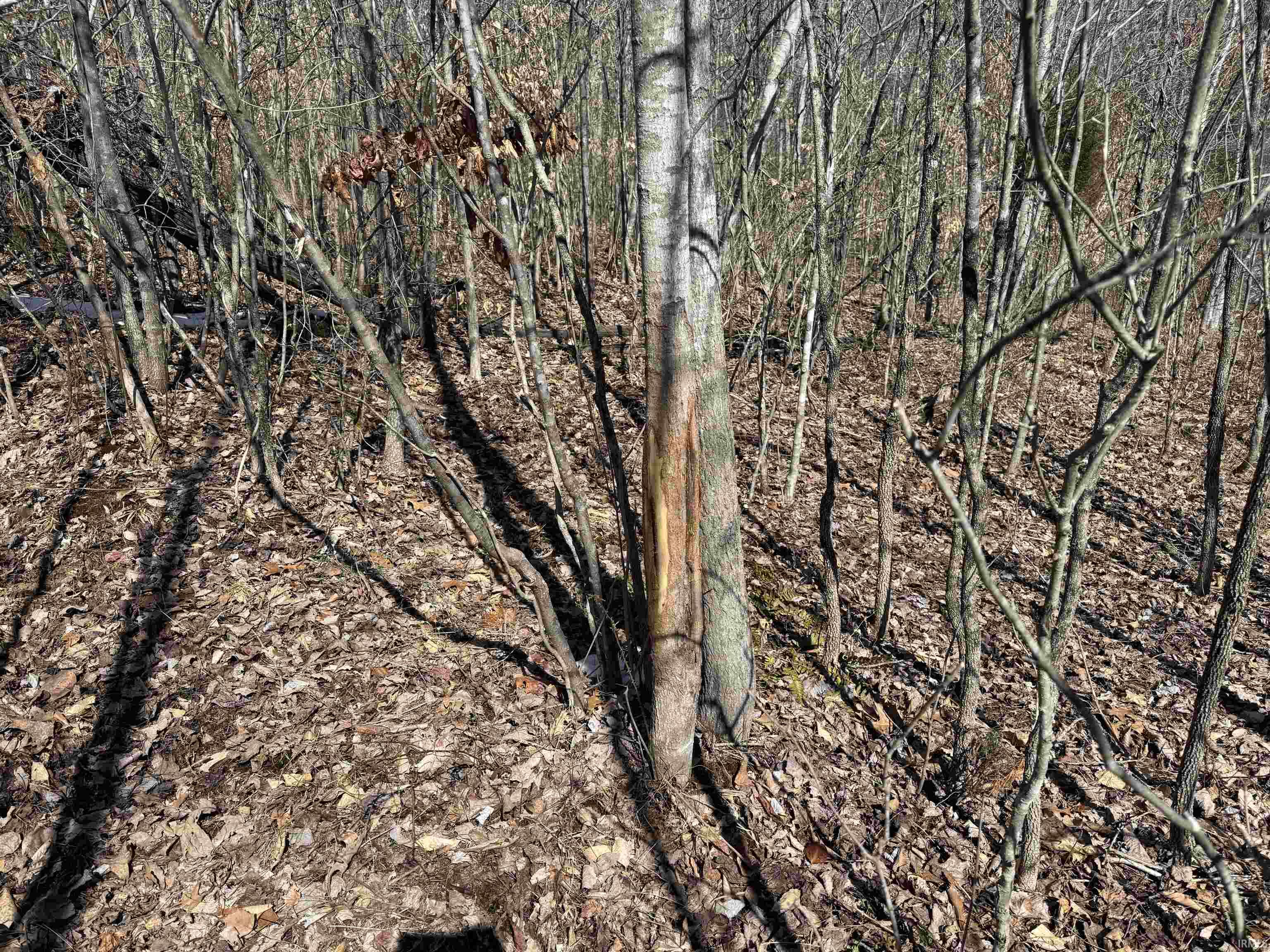 3 State Road 237 English, IN 47118 - Photo 21 of 22