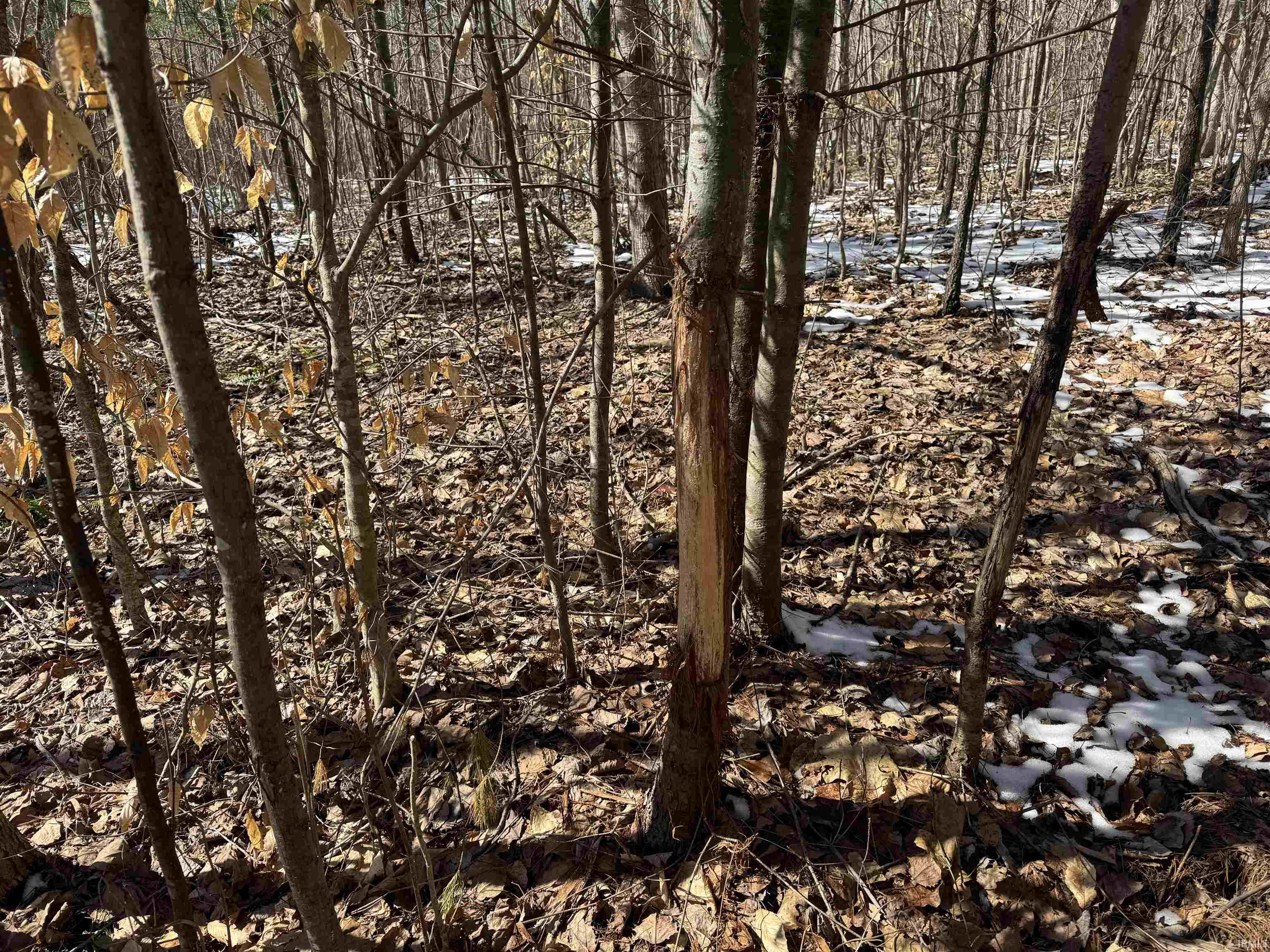 3 State Road 237 English, IN 47118 - Photo 22 of 22