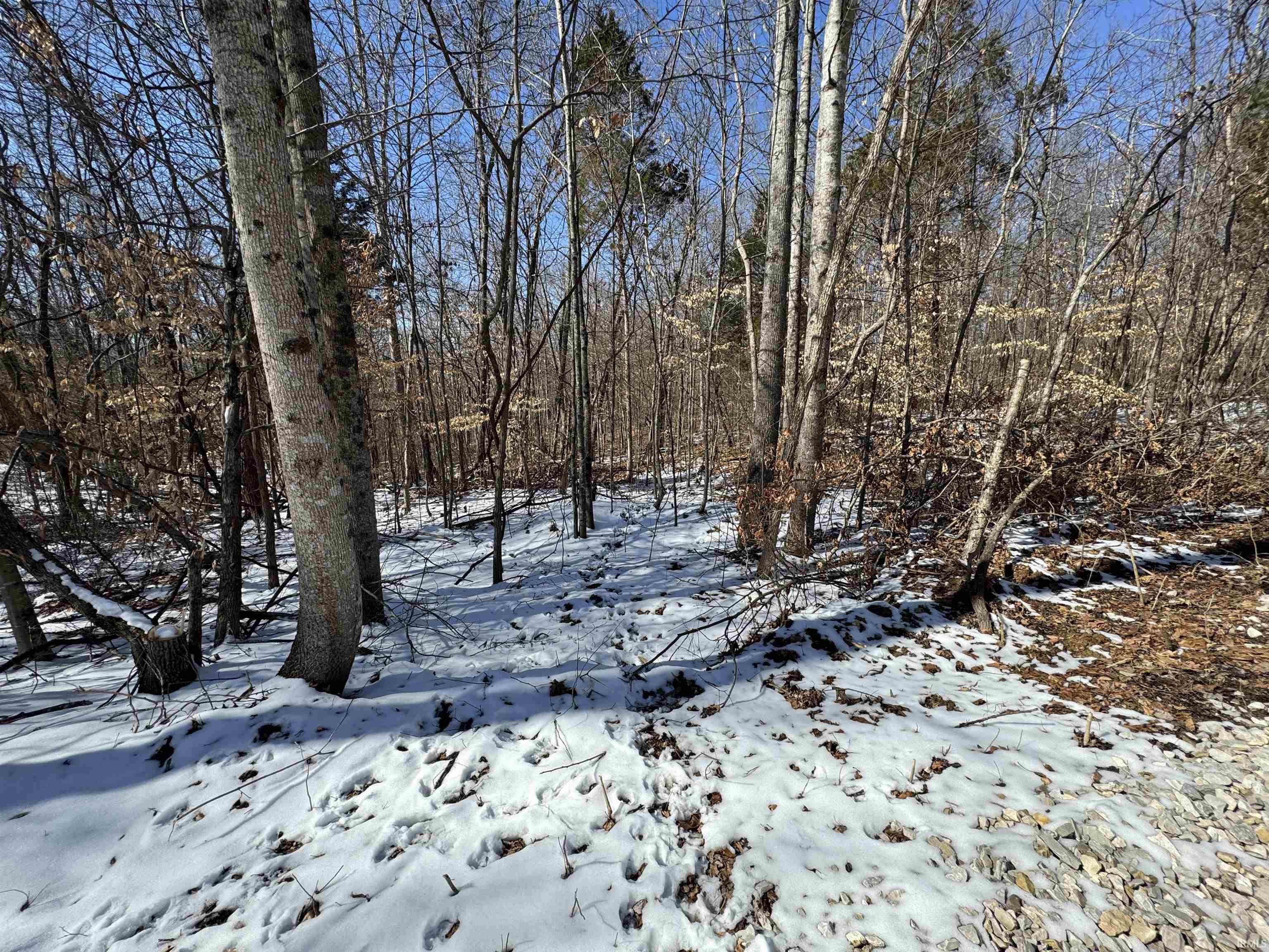 3 State Road 237 English, IN 47118 - Photo 3 of 22