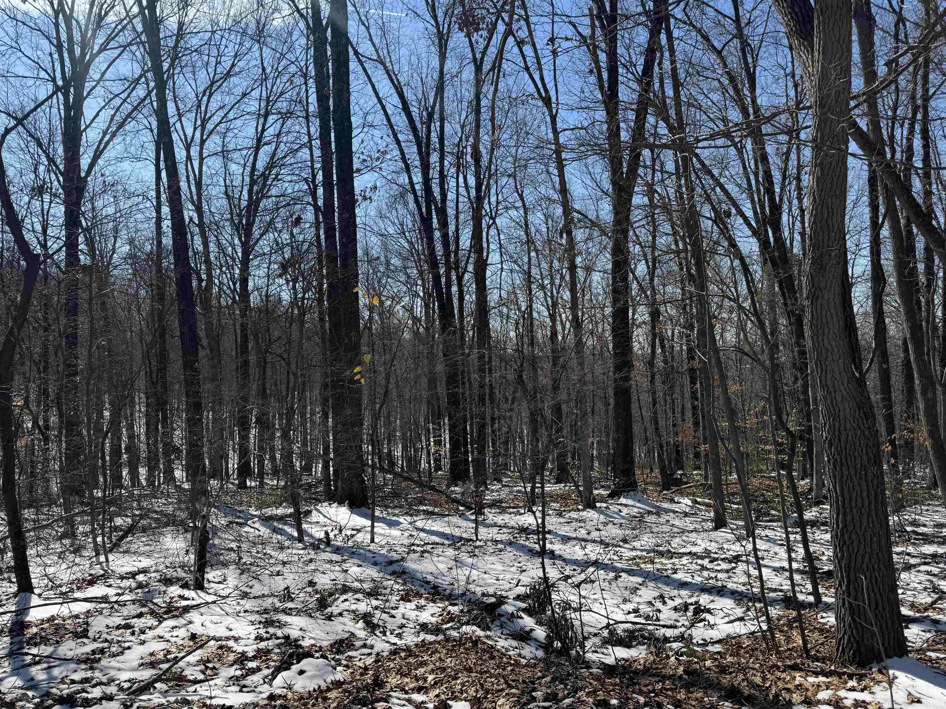 3 State Road 237 English, IN 47118 - Photo 5 of 22