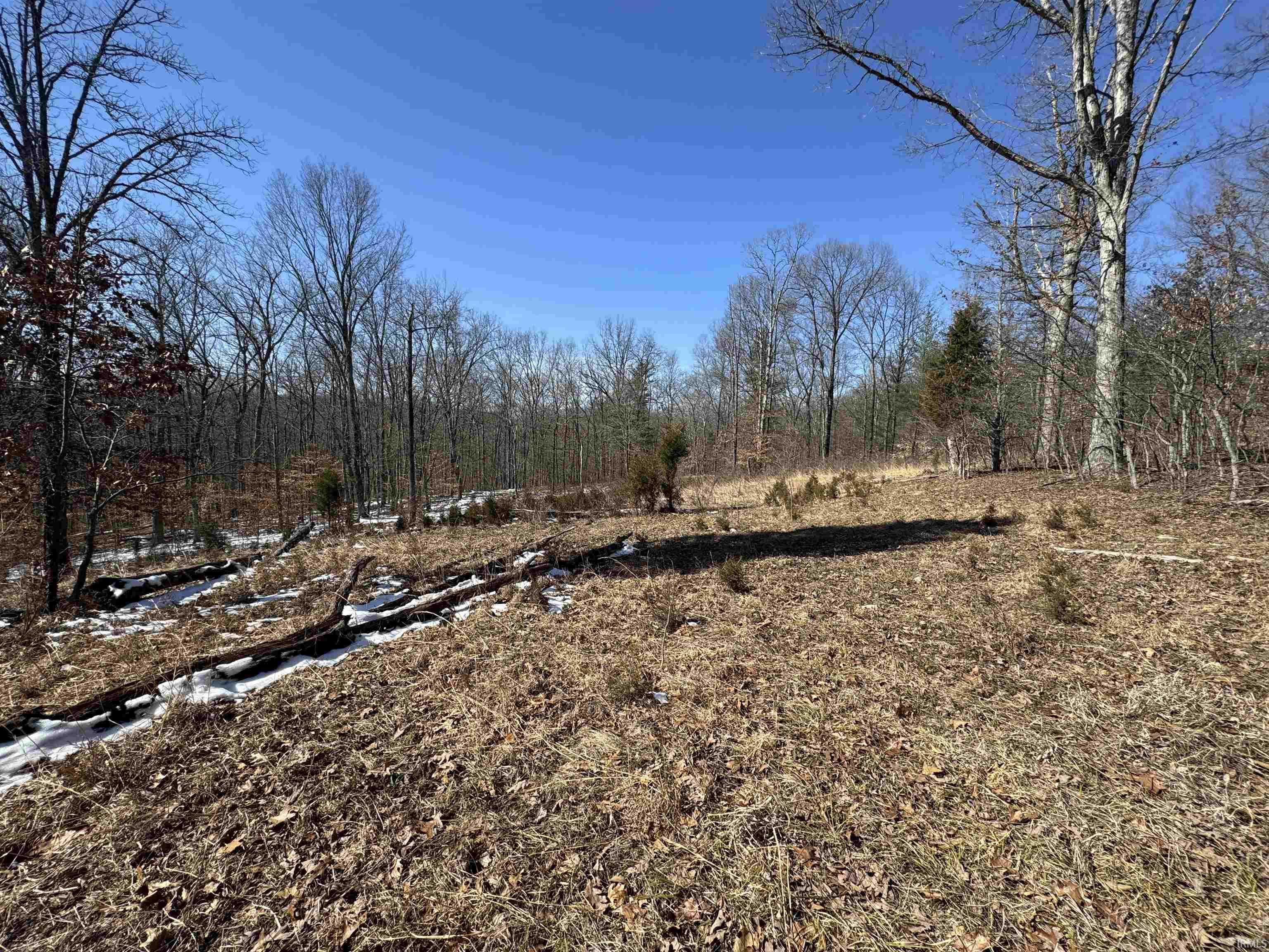 3 State Road 237 English, IN 47118 - Photo 9 of 22