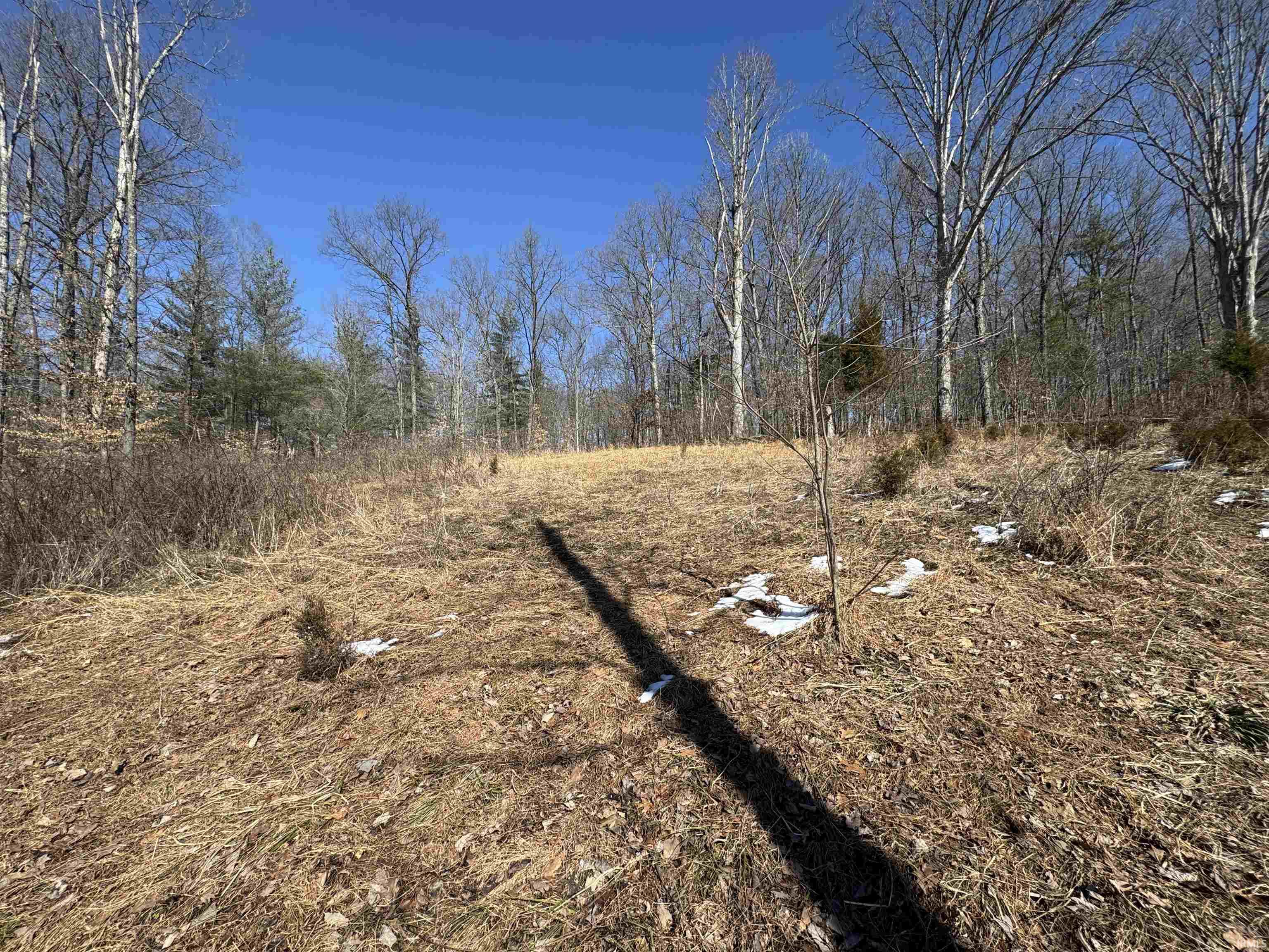 3 State Road 237 English, IN 47118 - Photo 10 of 22