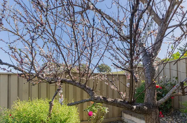 $929,000 | 27312 Bavella Way, Salinas, CA 93908