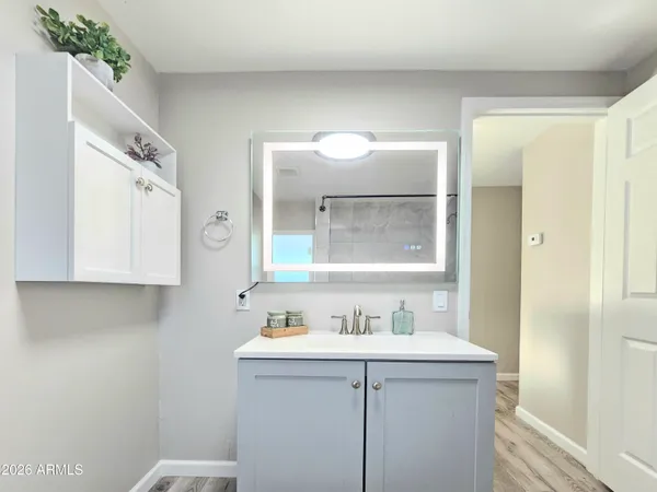 a bathroom with a sink and a mirror