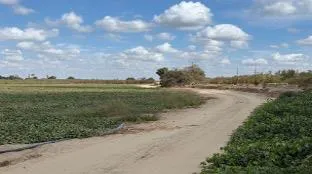 a view of a lake with a big yard
