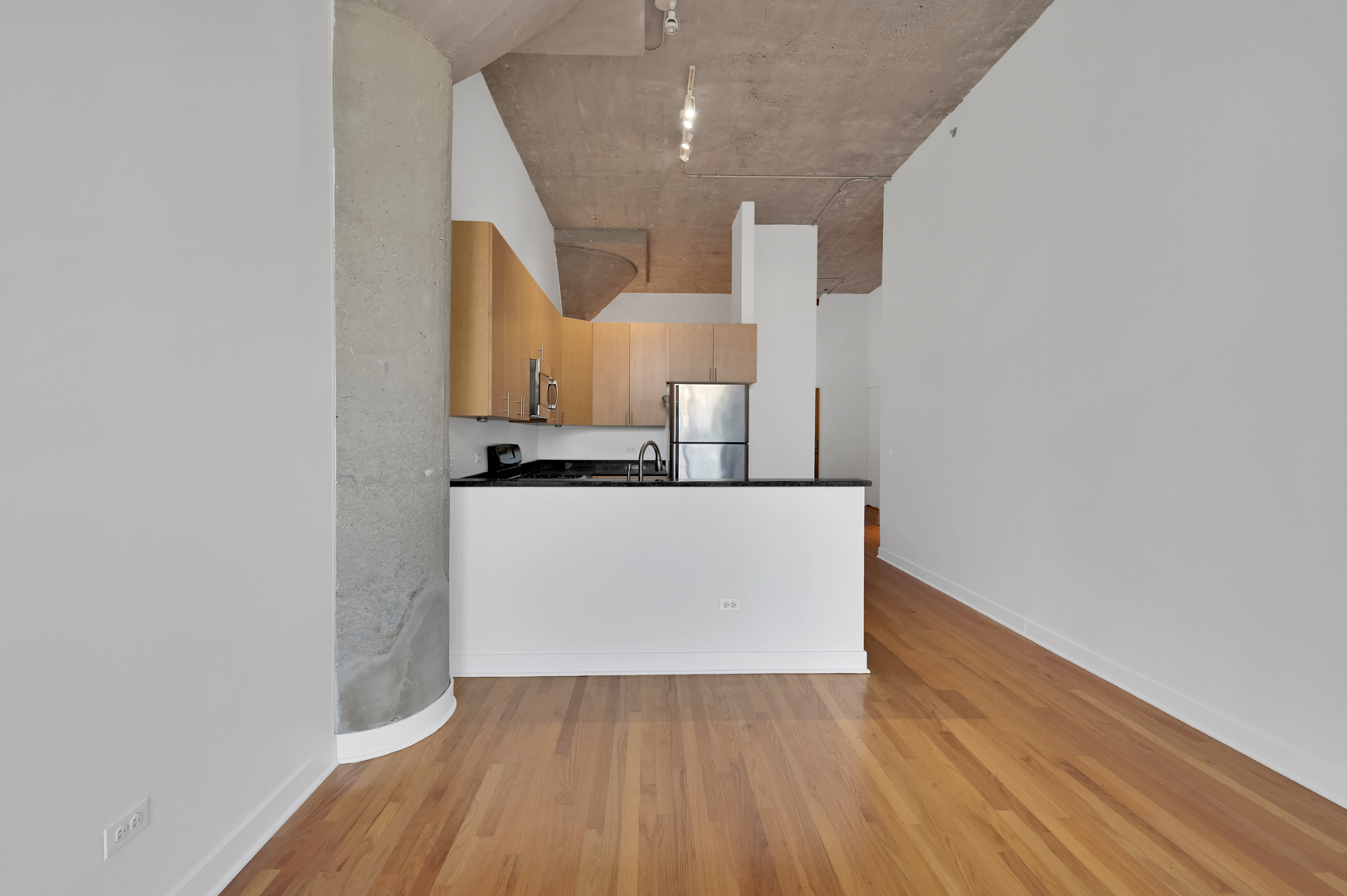 320 East 21st Street, Unit 204 Chicago, IL 60616 - Photo 12 of 31