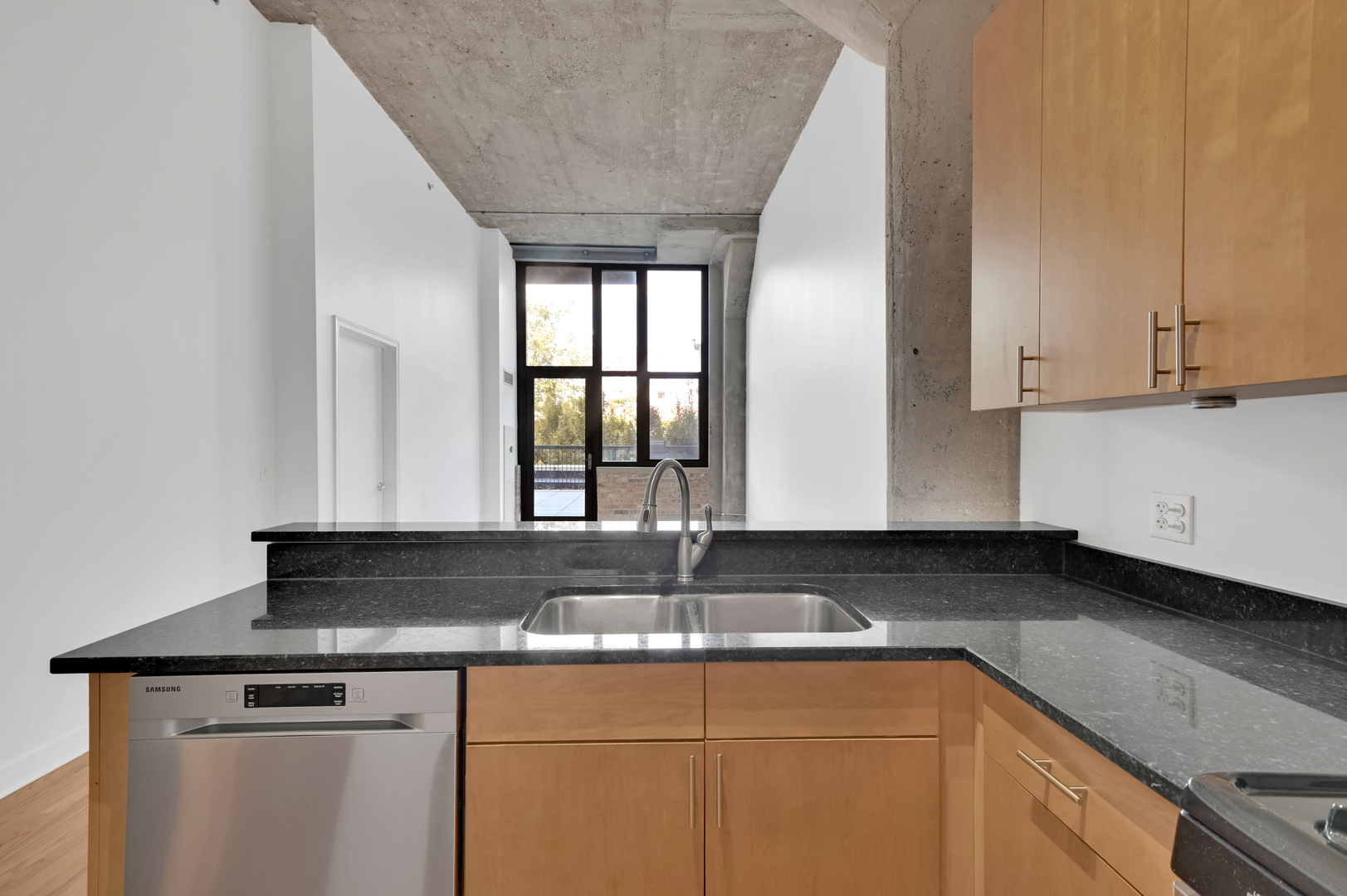 320 East 21st Street, Unit 204 Chicago, IL 60616 - Photo 10 of 31