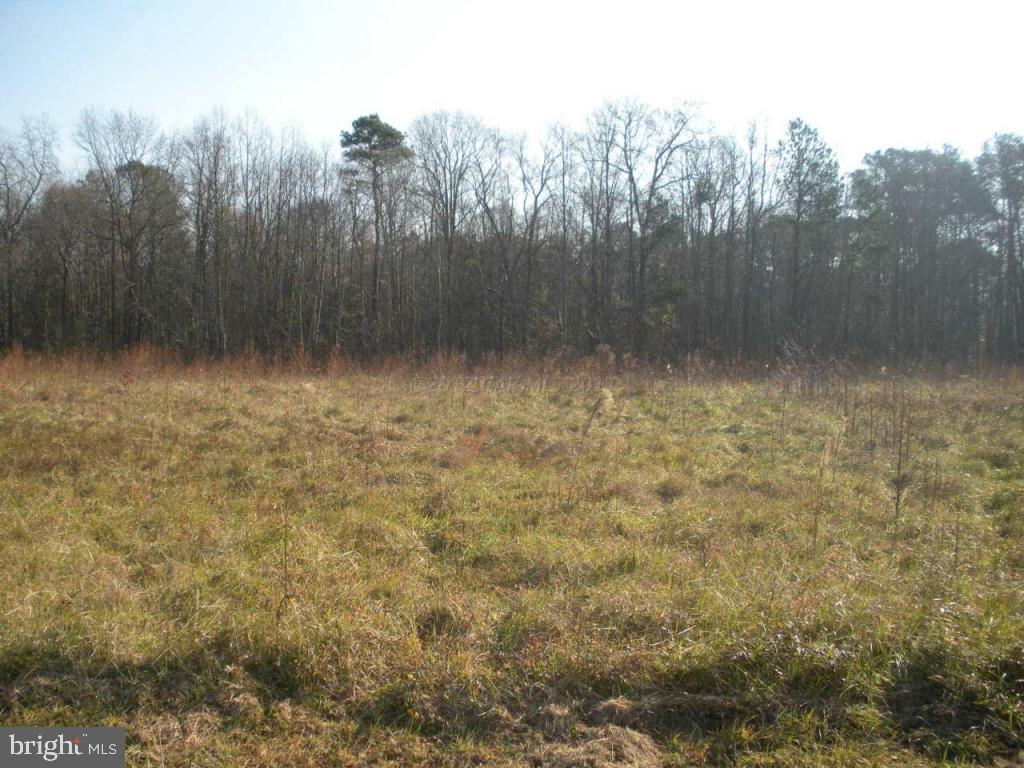 11342 Bell Road Whaleyville, MD 21872 - Photo 11 of 12
