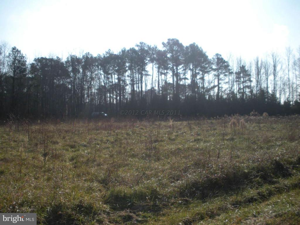 11342 Bell Road Whaleyville, MD 21872 - Photo 12 of 12