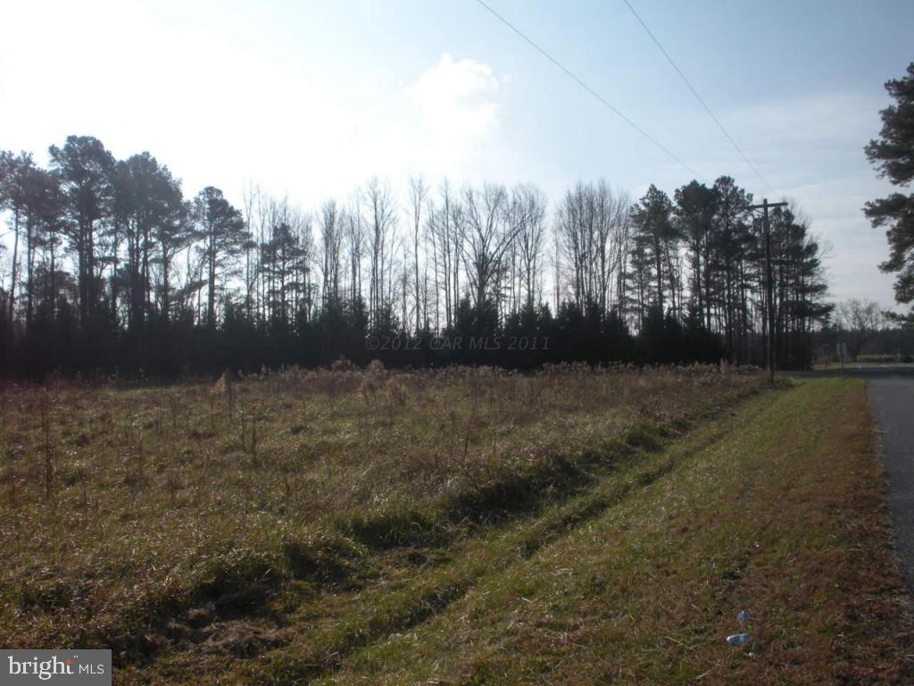 11342 Bell Road Whaleyville, MD 21872 - Photo 3 of 12