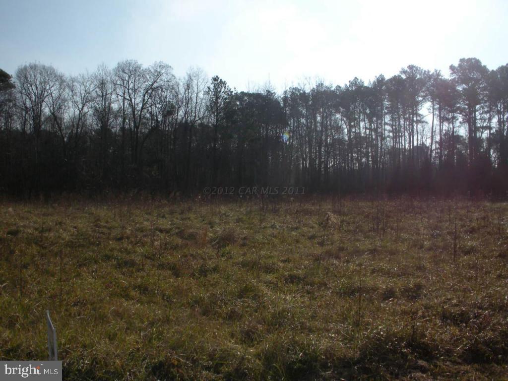 11342 Bell Road Whaleyville, MD 21872 - Photo 4 of 12