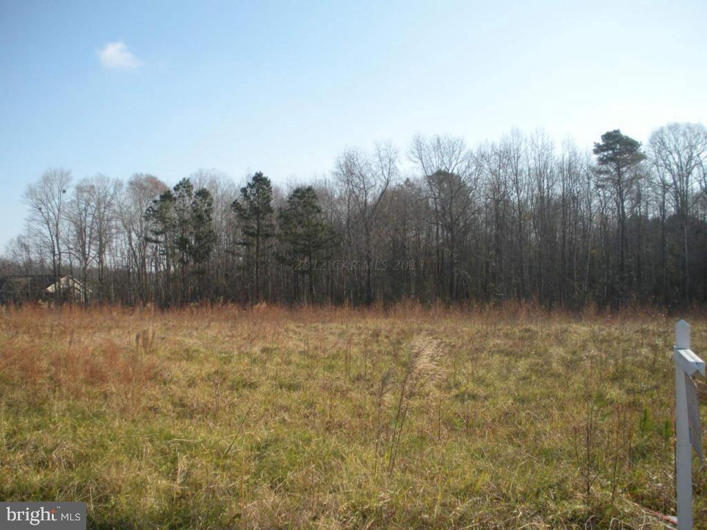11342 Bell Road Whaleyville, MD 21872 - Photo 6 of 12