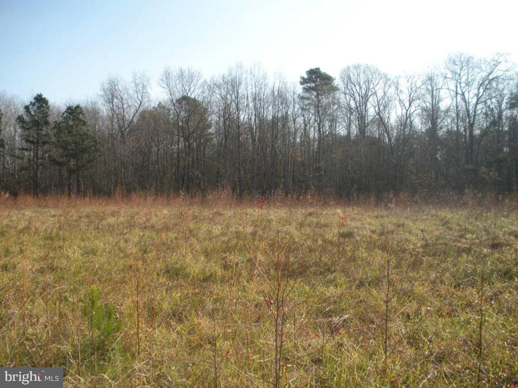 11342 Bell Road Whaleyville, MD 21872 - Photo 7 of 12