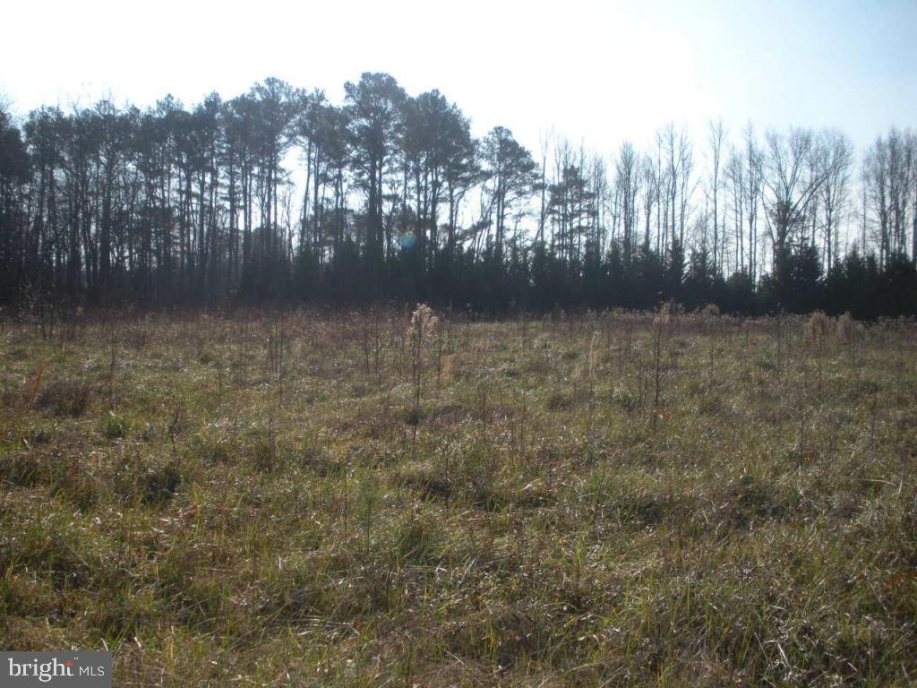 11342 Bell Road Whaleyville, MD 21872 - Photo 8 of 12