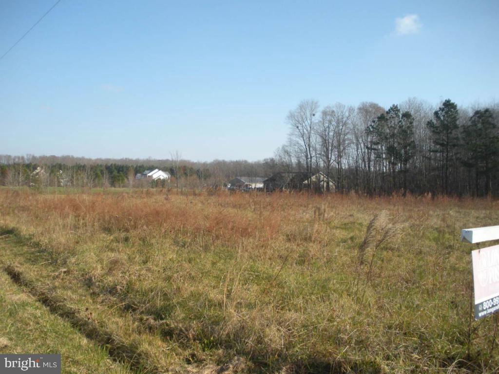 11342 Bell Road Whaleyville, MD 21872 - Photo 9 of 12