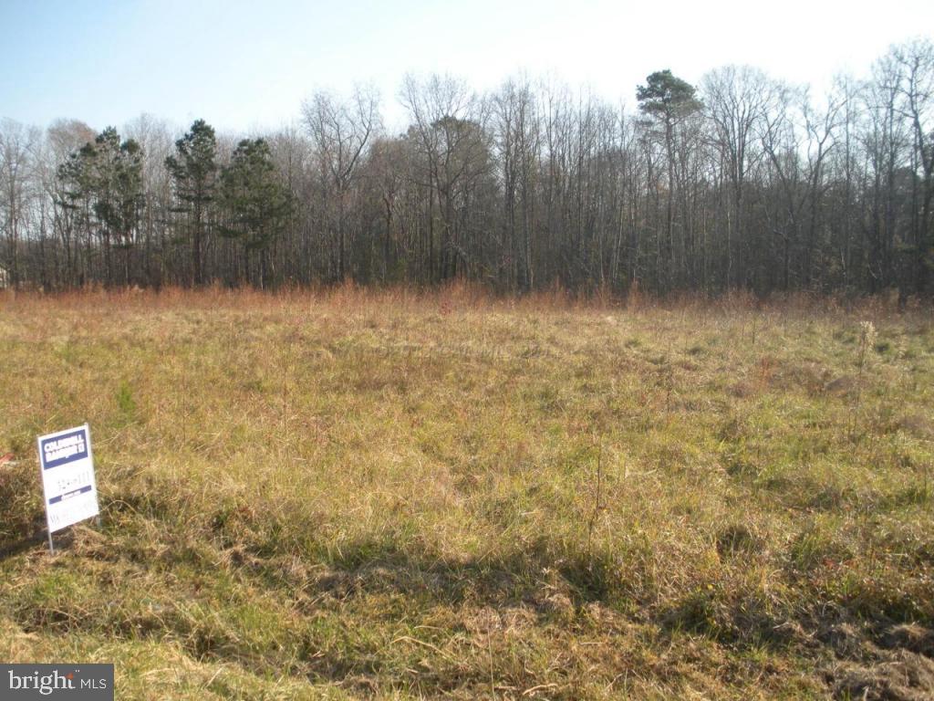 11342 Bell Road Whaleyville, MD 21872 - Photo 10 of 12