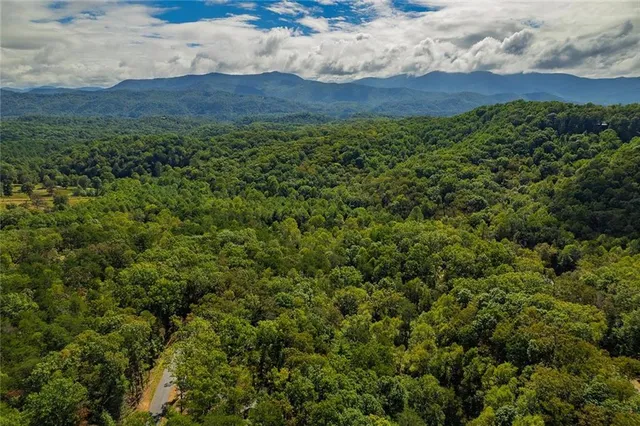 a view of a lush green outdoor space with a lake view