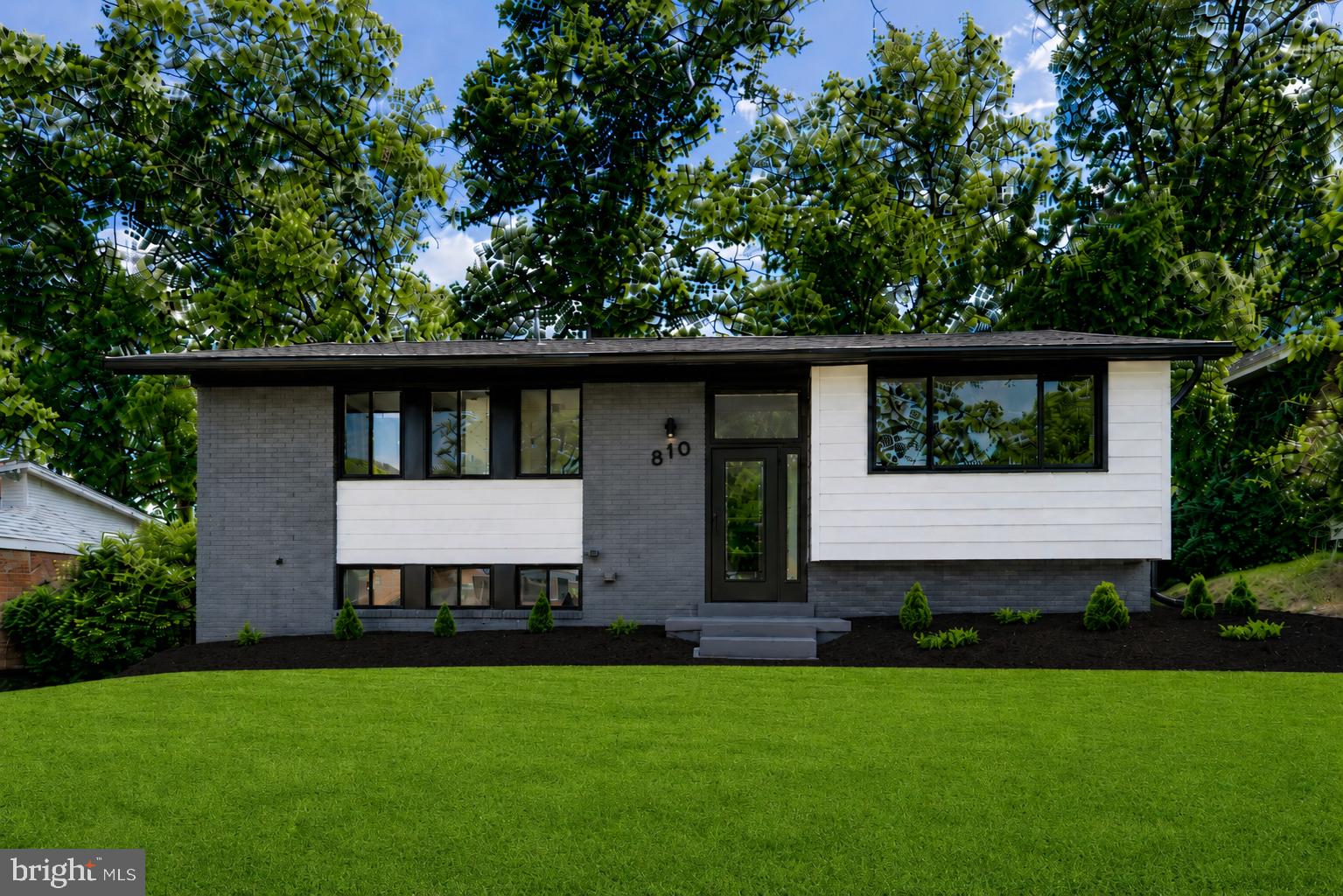 810 Malta Lane Silver Spring, MD 20901 - Photo 4 of 35 Modern elegance in a lush setting.
