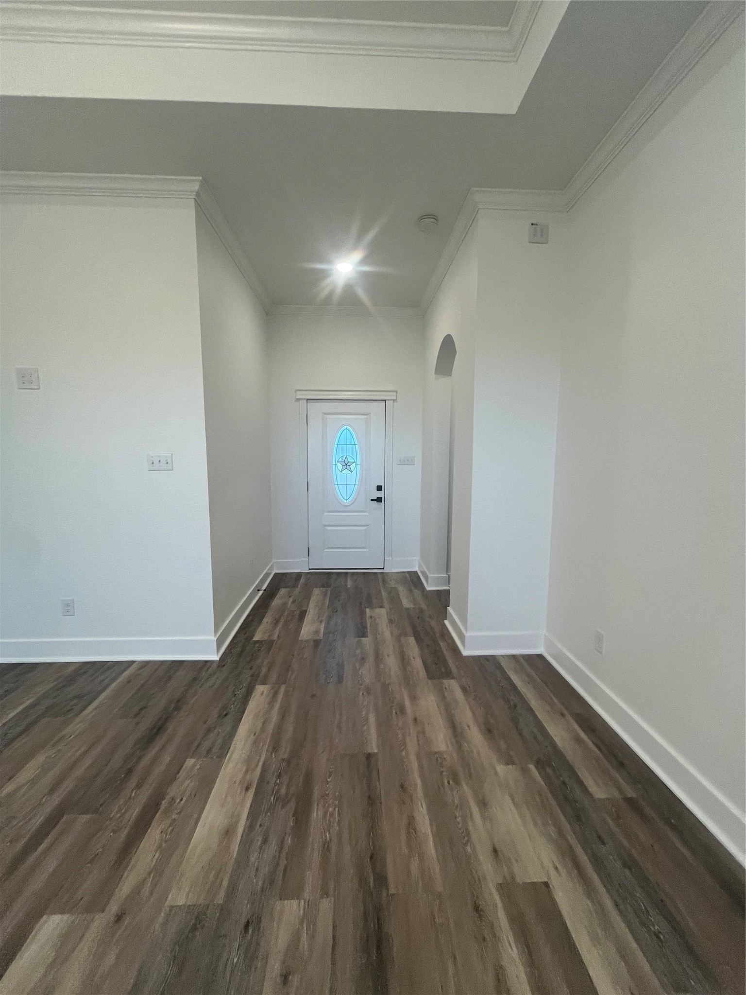 33416 FM 521 Road Angleton, TX 77515 - Photo 3 of 21 This photo features a bright entryway with light walls, a decorative glass front door, and medium gray/wood water proof plank flooring, creating a welcoming and modern atmosphere.
