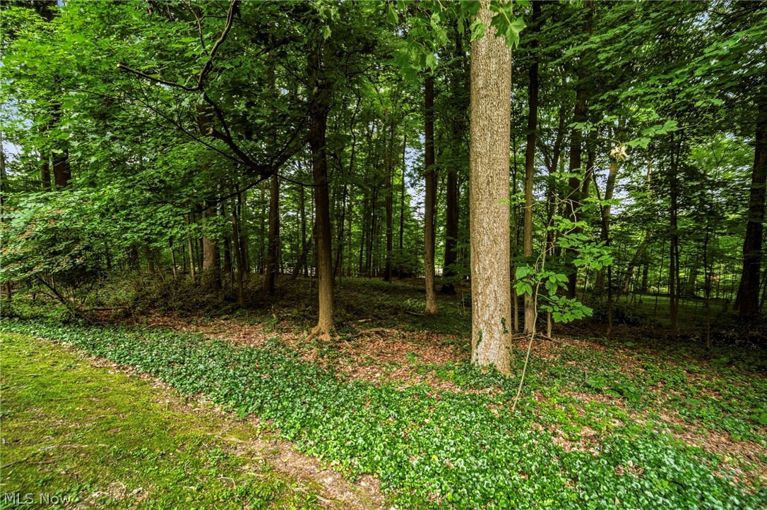11565 Wilbert Road Chardon, OH 44024 - Photo 36 of 37 Additional wooded lot