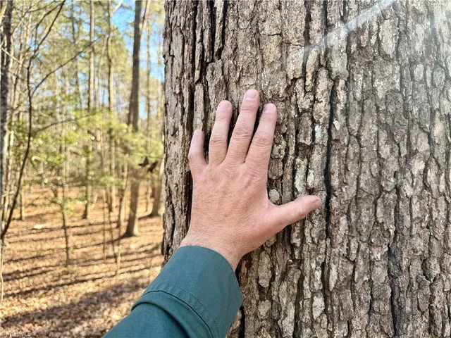 $75,000 | 200 Harbor Drive East, Lexington, NC 27292