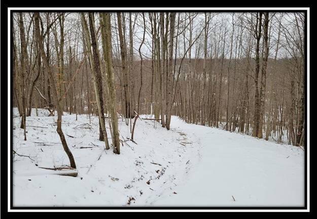0 Number 12 Hollow Road Wellston, OH 45692 - Photo 20 of 45 image020
