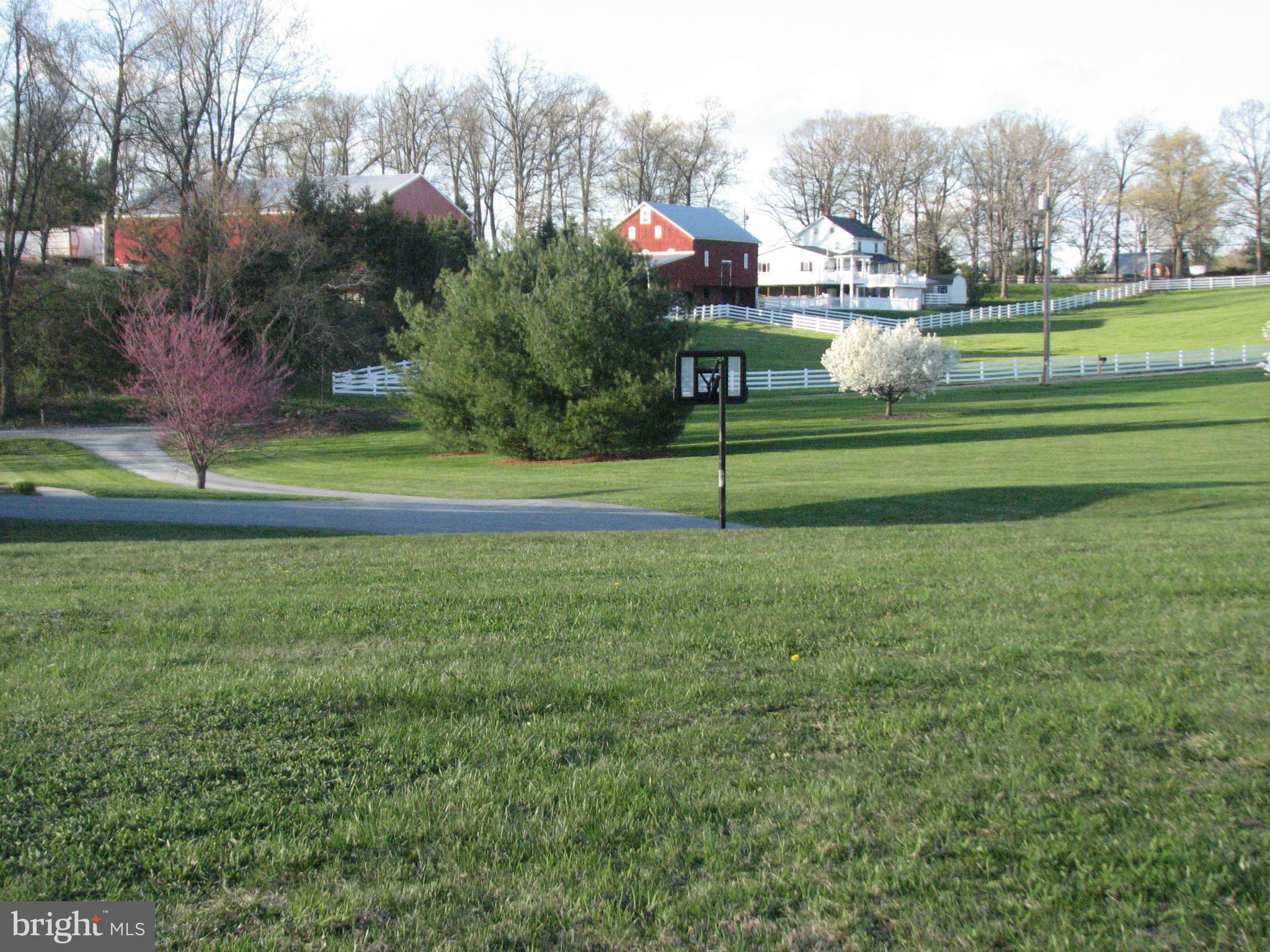 FRONT YARD VIEW