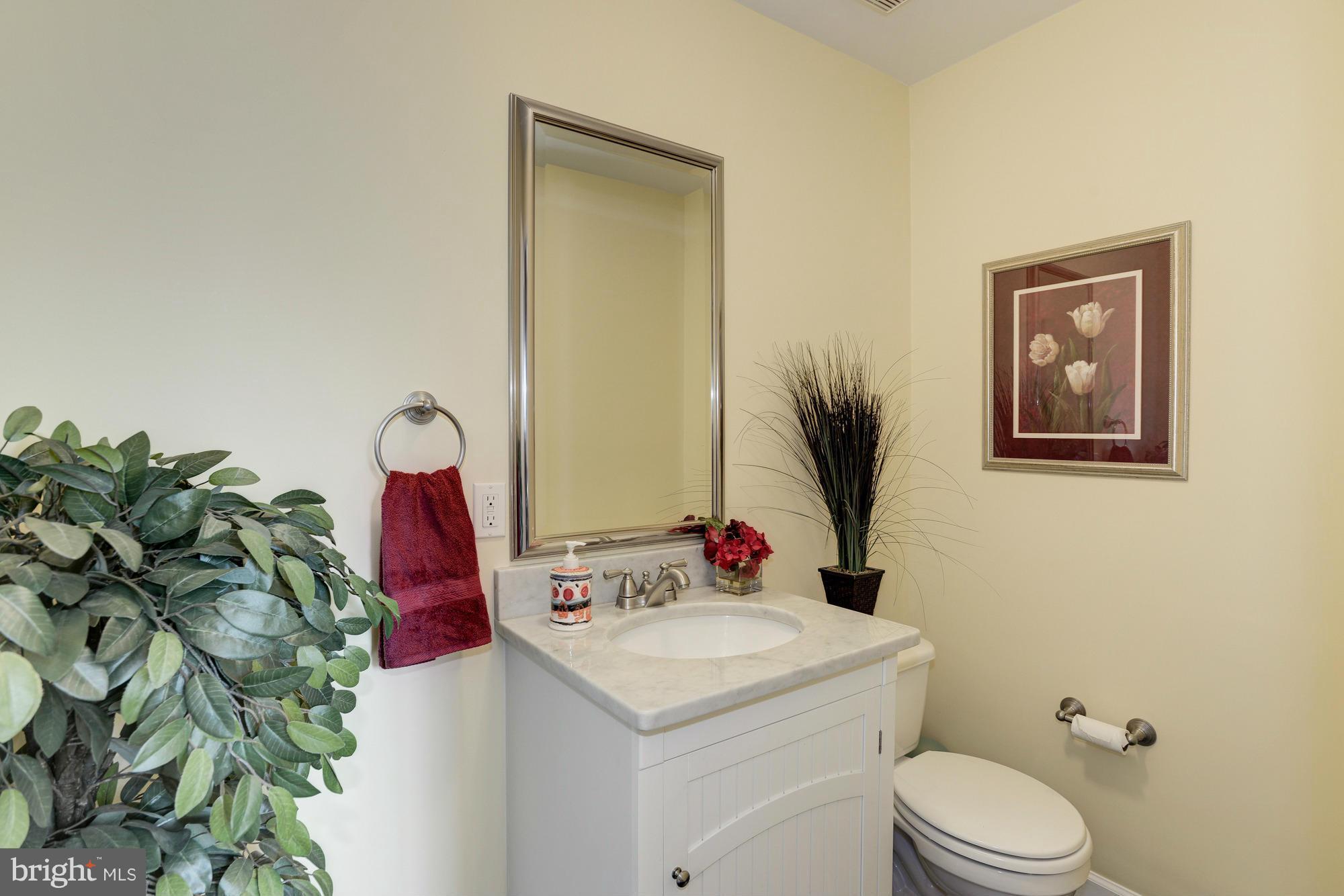 4611 Merivale Road Chevy Chase, MD 20815 - Photo 11 of 30 Powder Room