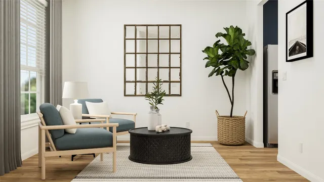 a living room with furniture and a potted plant