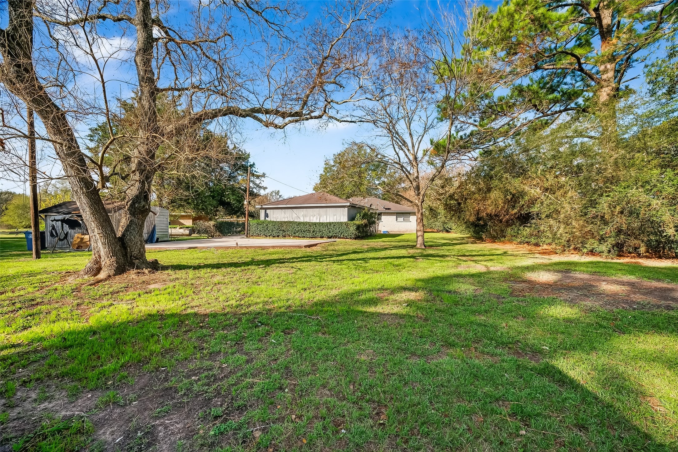 20706 Emerald Street Prairie View, TX 77484 - Photo 44 of 47 a view of yard with swimming pool and trees