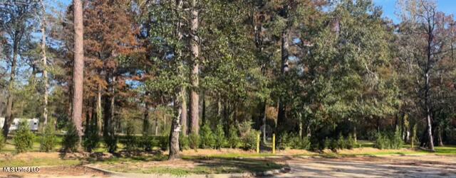 Nhn River Road Gulfport, MS 39503 - Photo 21 of 48 Park Frontage