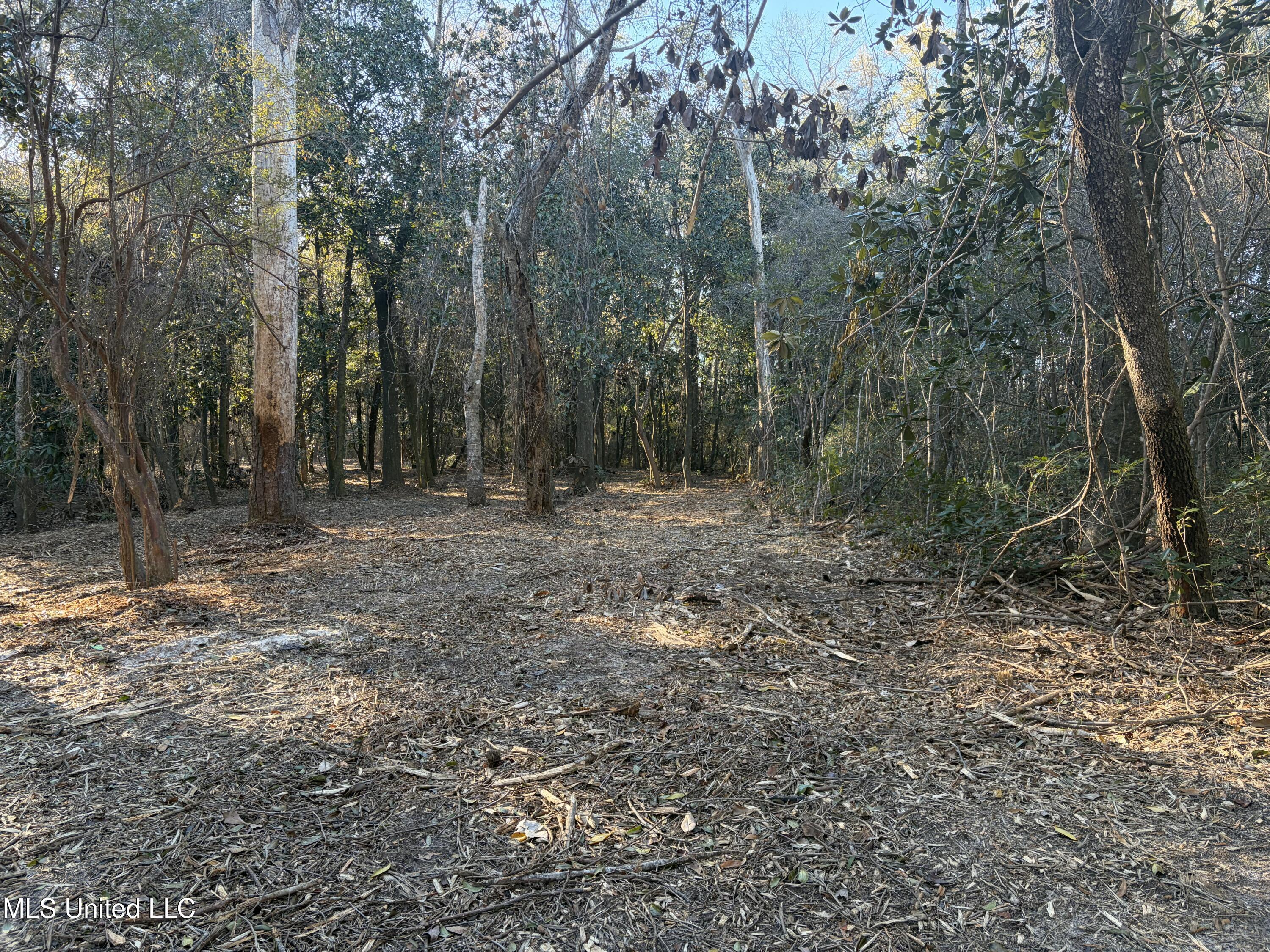 Nhn River Road Gulfport, MS 39503 - Photo 28 of 48 Acreage