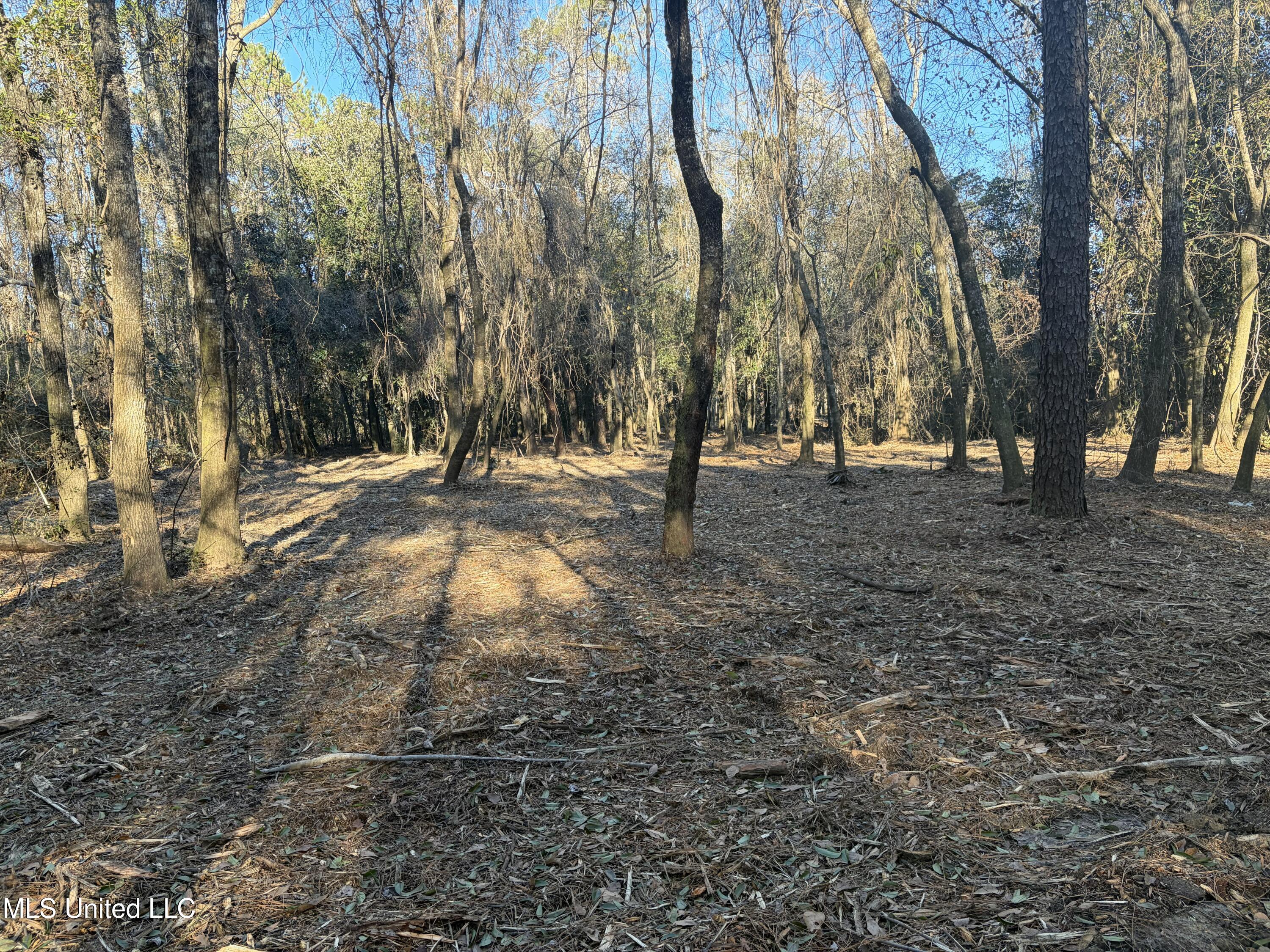 Nhn River Road Gulfport, MS 39503 - Photo 30 of 48 Acreage