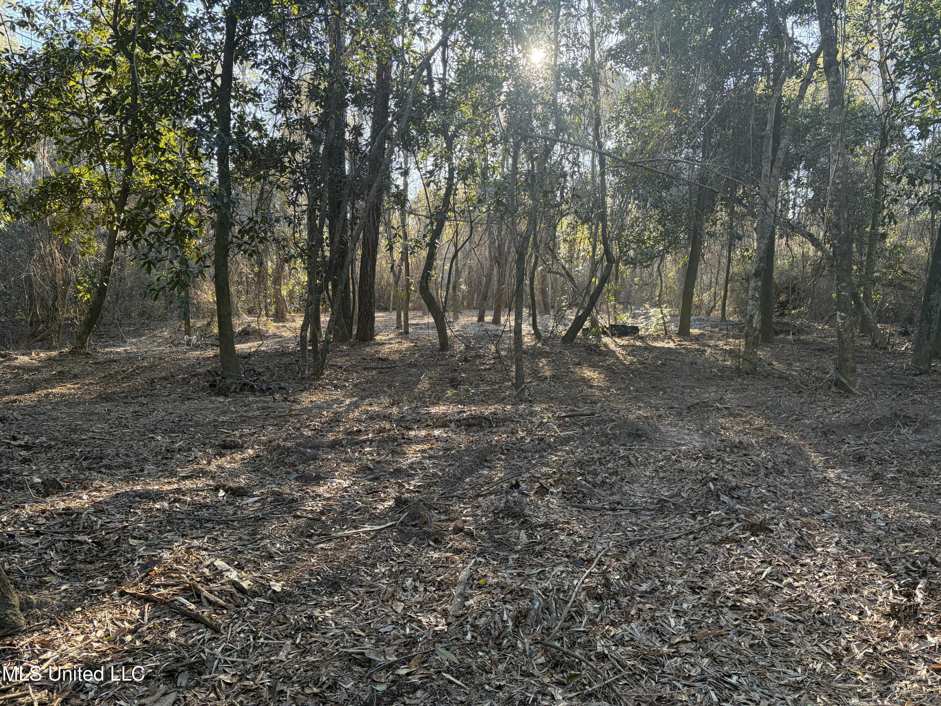 Nhn River Road Gulfport, MS 39503 - Photo 35 of 48 Acreage