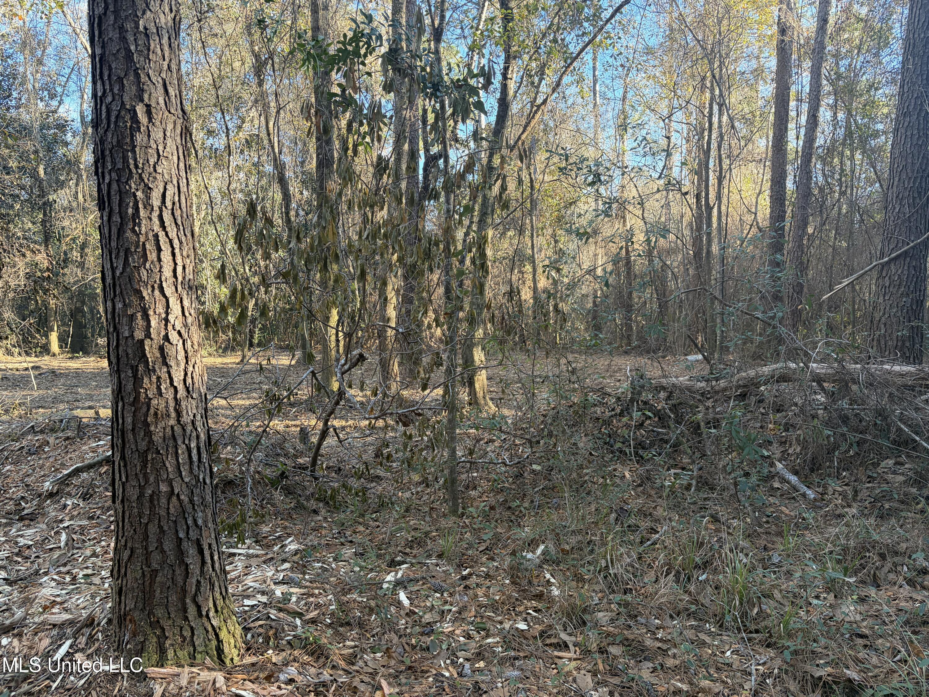 Nhn River Road Gulfport, MS 39503 - Photo 36 of 48 Acreage