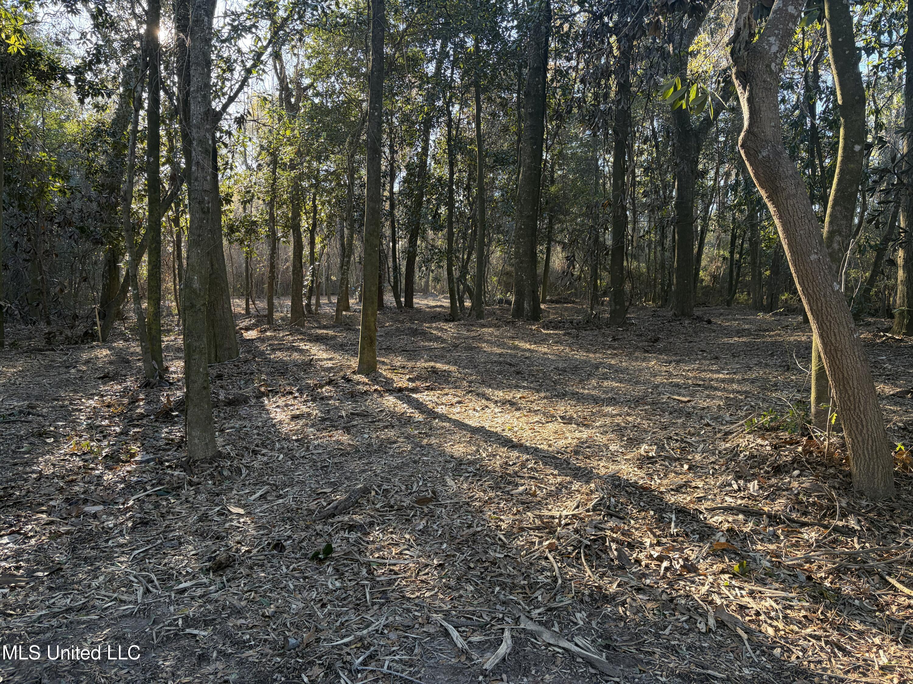 Nhn River Road Gulfport, MS 39503 - Photo 40 of 48 Acreage