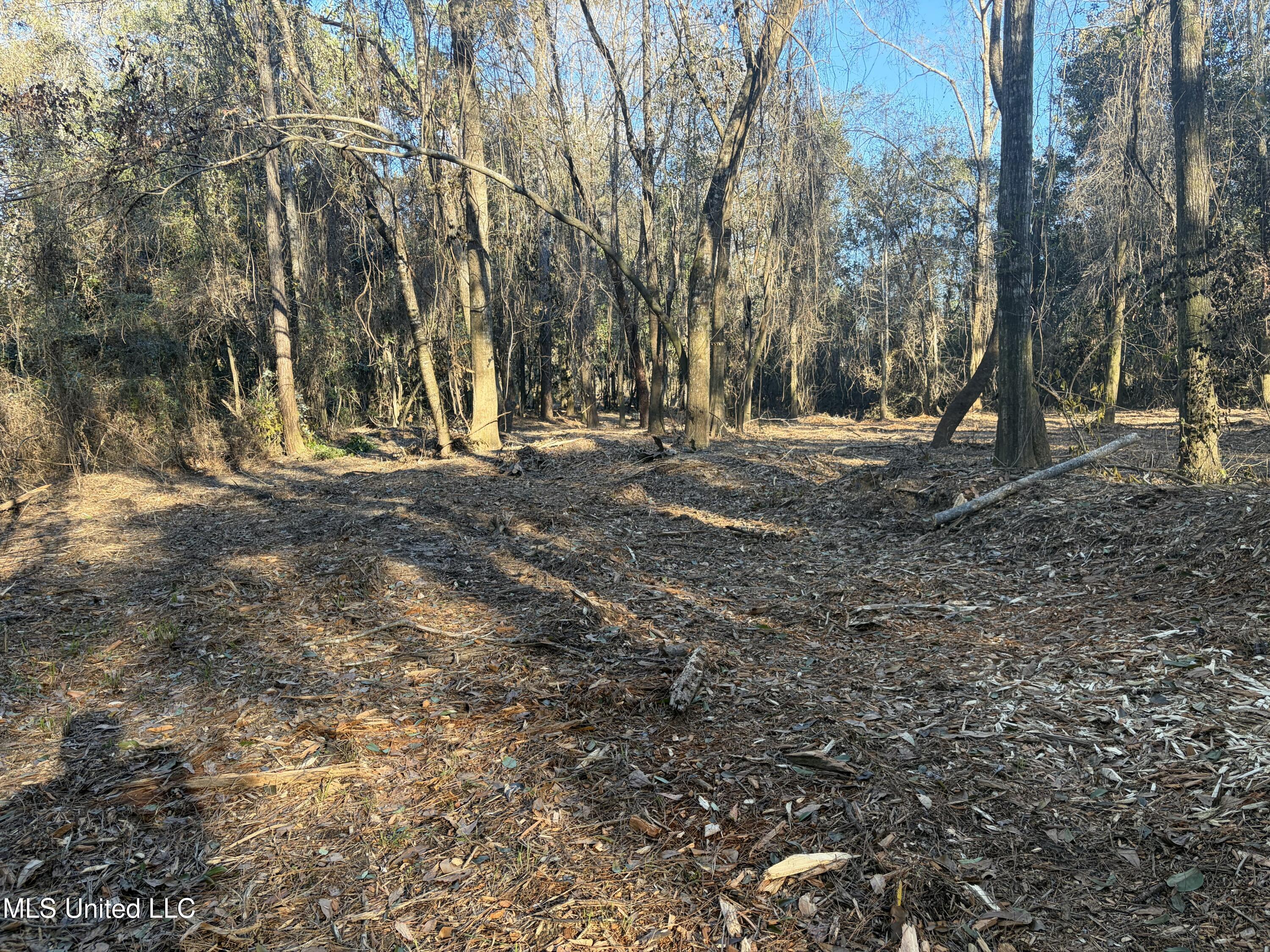 Nhn River Road Gulfport, MS 39503 - Photo 42 of 48 Acreage